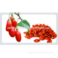 High Quality Goji Berry for Beauty Health Medicine